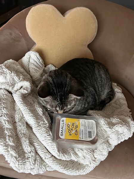A top-down 3:4 shot of a cat resting on a white knitted blanket next to a package of Smalls cat food.